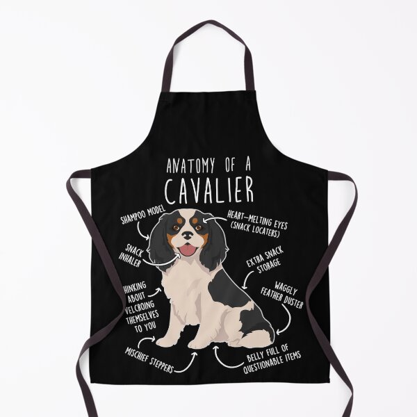 Item preview, Tri-Color Cavalier King Charles Spaniel Dog Anatomy designed and sold by Clara Hollins.