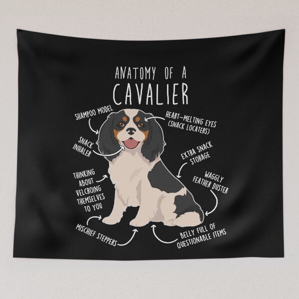Item preview, Tri-Color Cavalier King Charles Spaniel Dog Anatomy designed and sold by Clara Hollins.