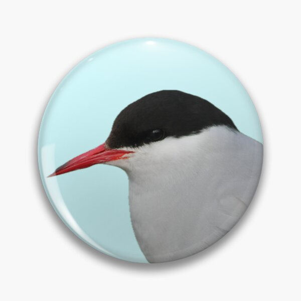 Item preview, Arctic Tern- Cutout designed and sold by Pacific Northwest Birding.