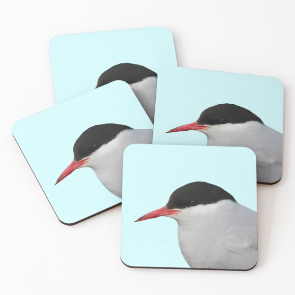 Item preview, Arctic Tern- Cutout designed and sold by Pacific Northwest Birding.
