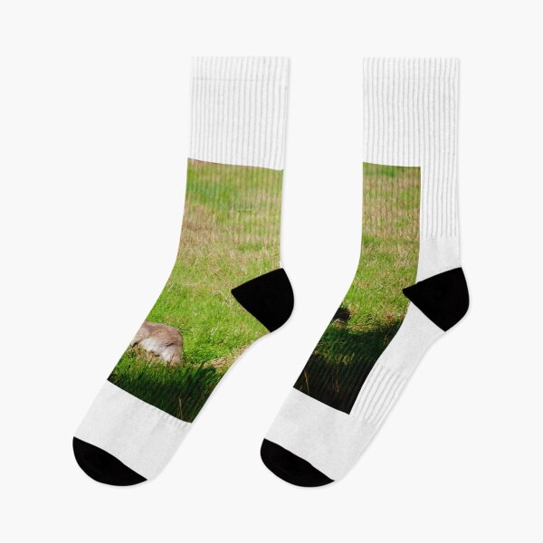 Item preview, The Roos  designed and sold by D-GaP.