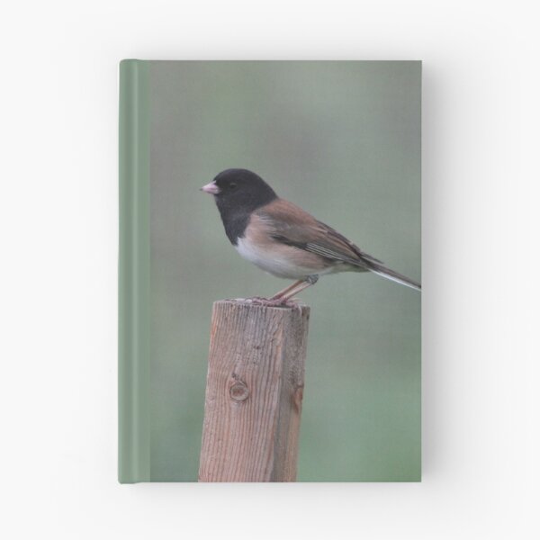 Item preview, Dark-eyed Junco: Lookout designed and sold by Pacific Northwest Birding.