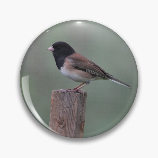 Item preview, Dark-eyed Junco: Lookout designed and sold by Pacific Northwest Birding.