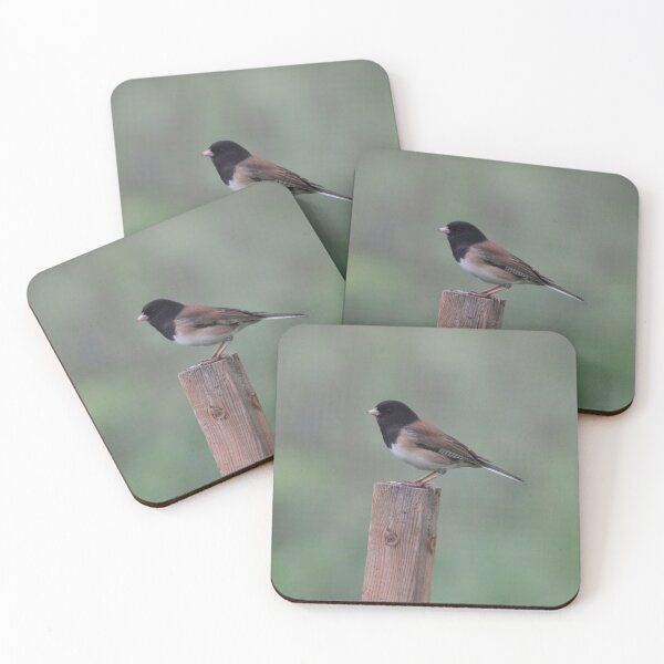 Item preview, Dark-eyed Junco: Lookout designed and sold by Pacific Northwest Birding.