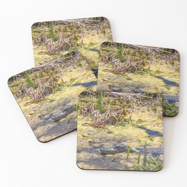 Item preview, Alligator at Lake Apopka 2 designed and sold by jrtwynam.