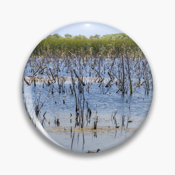 Item preview, Scenic Lake Apopka Wildlife Drive designed and sold by jrtwynam.