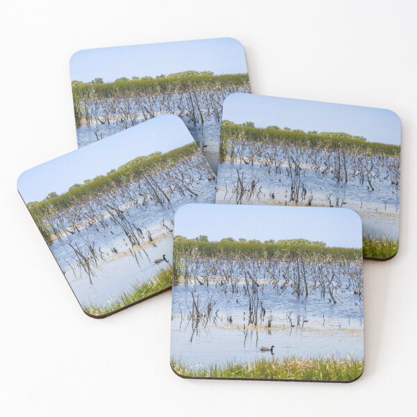 Item preview, Scenic Lake Apopka Wildlife Drive designed and sold by jrtwynam.