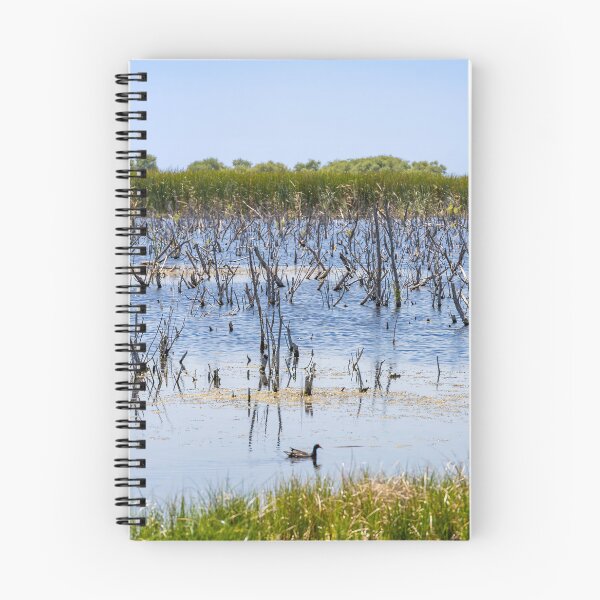 Item preview, Scenic Lake Apopka Wildlife Drive designed and sold by jrtwynam.