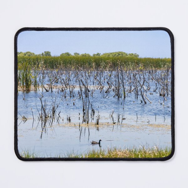 Item preview, Scenic Lake Apopka Wildlife Drive designed and sold by jrtwynam.