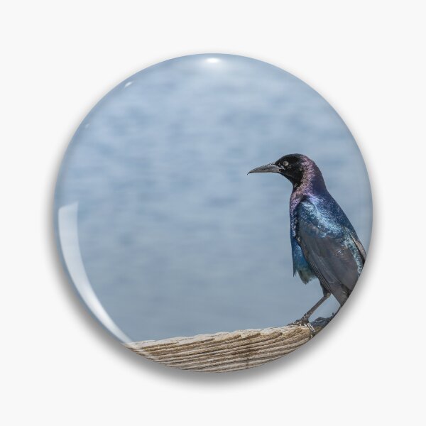 Item preview, Birdwatching at Lake Apopka designed and sold by jrtwynam.