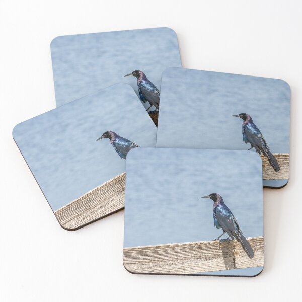 Item preview, Birdwatching at Lake Apopka designed and sold by jrtwynam.