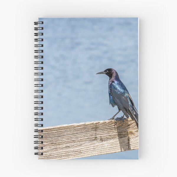Item preview, Birdwatching at Lake Apopka designed and sold by jrtwynam.