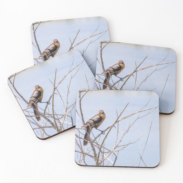 Item preview, Wild Bird at Lake Apopka Drive designed and sold by jrtwynam.