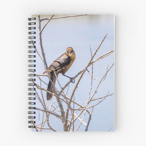 Item preview, Wild Bird at Lake Apopka Drive designed and sold by jrtwynam.