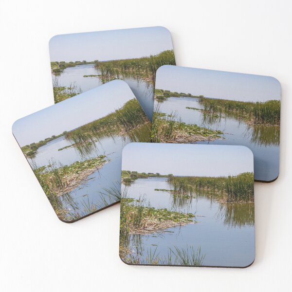 Item preview, Scenic Lake Apopka Wildlife Drive 2 designed and sold by jrtwynam.
