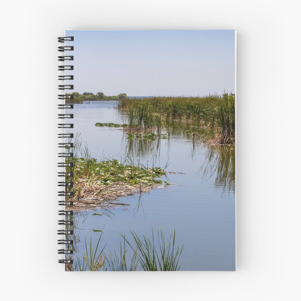 Item preview, Scenic Lake Apopka Wildlife Drive 2 designed and sold by jrtwynam.