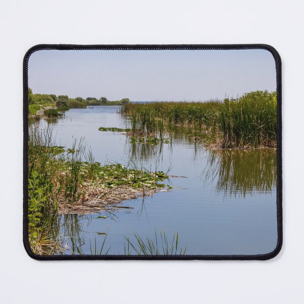 Item preview, Scenic Lake Apopka Wildlife Drive 2 designed and sold by jrtwynam.