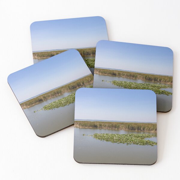 Item preview, Serene Lake Apopka Wetlands designed and sold by jrtwynam.
