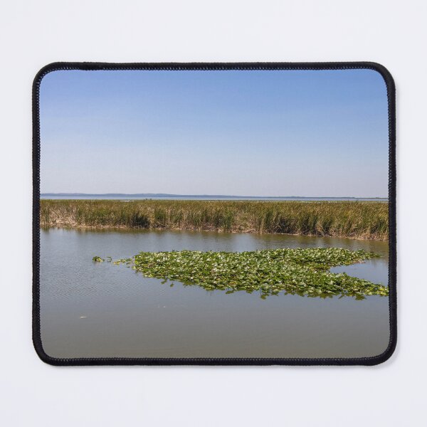 Item preview, Serene Lake Apopka Wetlands designed and sold by jrtwynam.