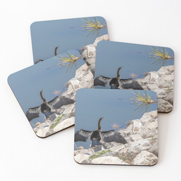 Item preview, Bird Sunning at Lake Apopka designed and sold by jrtwynam.