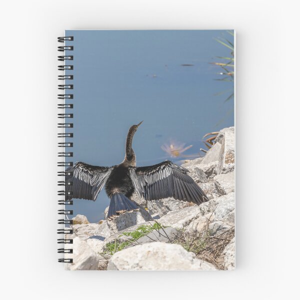 Item preview, Bird Sunning at Lake Apopka designed and sold by jrtwynam.
