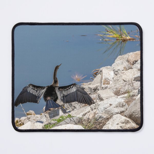 Item preview, Bird Sunning at Lake Apopka designed and sold by jrtwynam.