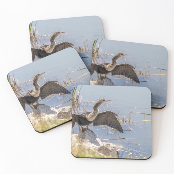Item preview, Bird Sunning at Lake Apopka 2 designed and sold by jrtwynam.