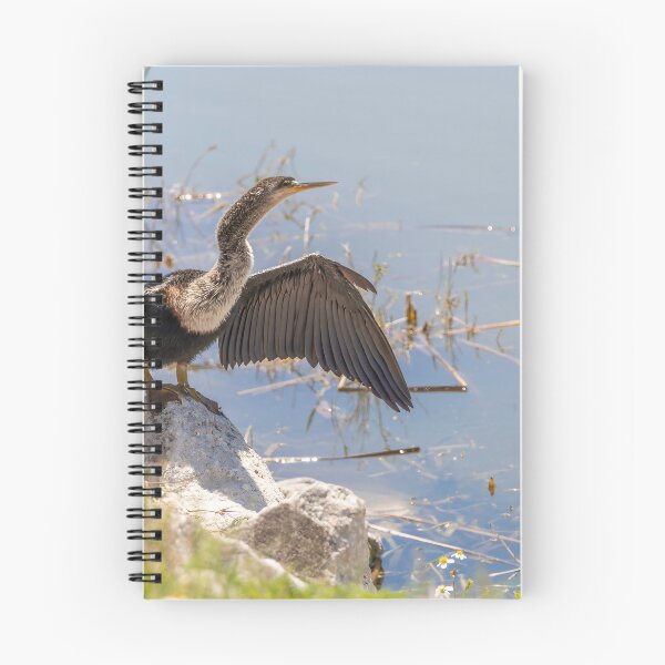 Item preview, Bird Sunning at Lake Apopka 2 designed and sold by jrtwynam.