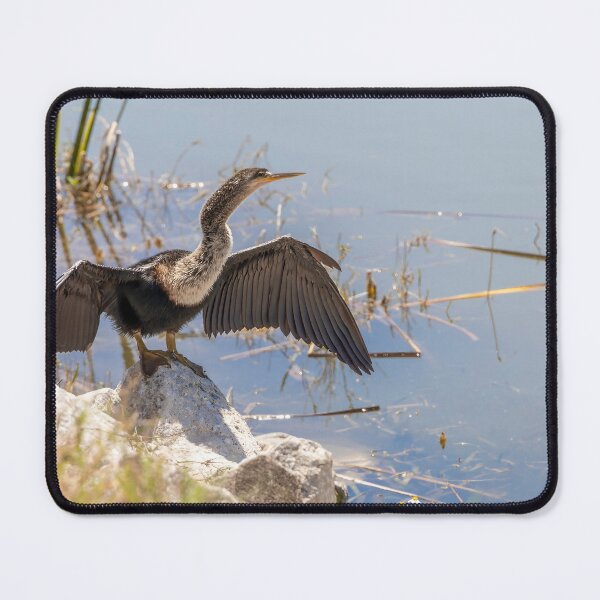 Item preview, Bird Sunning at Lake Apopka 2 designed and sold by jrtwynam.