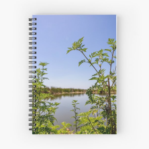 Item preview, Scenic View at Lake Apopka designed and sold by jrtwynam.
