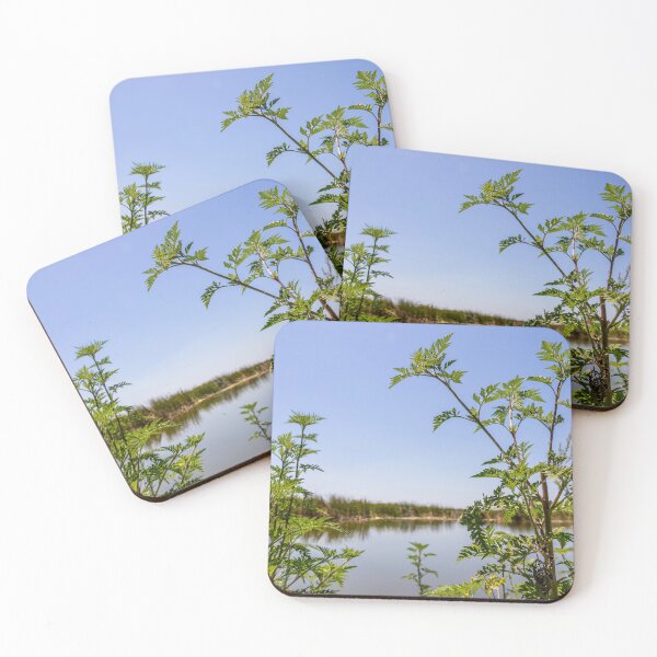 Item preview, Scenic View at Lake Apopka designed and sold by jrtwynam.