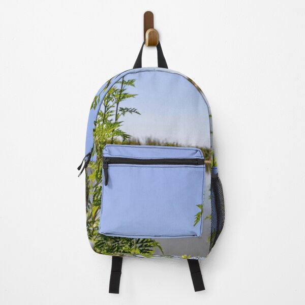 Item preview, Scenic View at Lake Apopka designed and sold by jrtwynam.