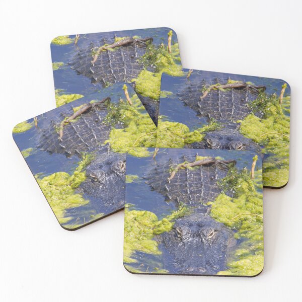 Item preview, Alligator at Lake Apopka 4 designed and sold by jrtwynam.
