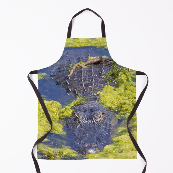 Item preview, Alligator at Lake Apopka 4 designed and sold by jrtwynam.