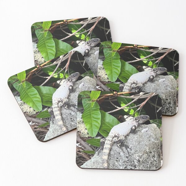 Item preview, Roatan Spiny-tailed Iguana designed and sold by CosmicGrant.