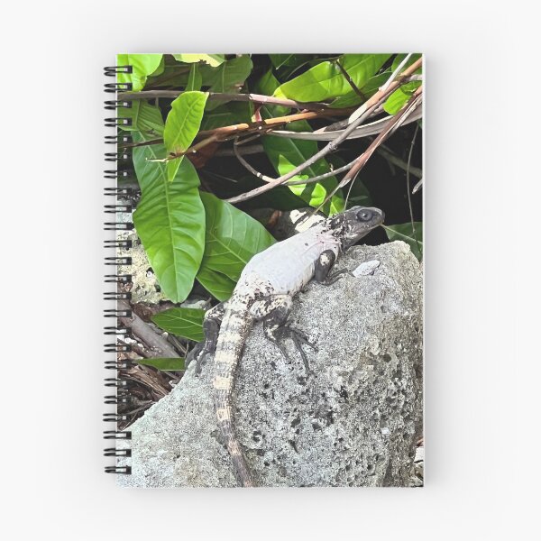 Artikelvorschau, Roatan-Stachelschwanzleguan entworfen und verkauft von CosmicGrant.