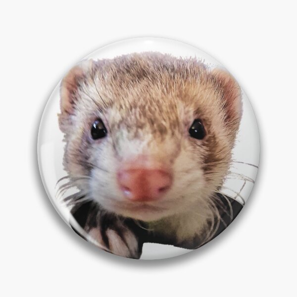 Item preview, Ferret designed and sold by TheDarkArtRoom.