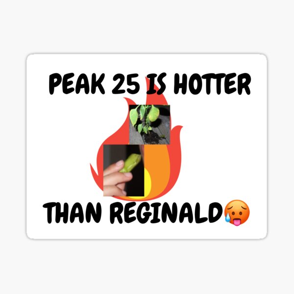 REGINALD Sticker
