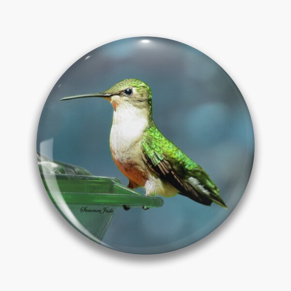 Item preview, Tiny Backyard Visitor ~ Hummingbird designed and sold by SummerJade.