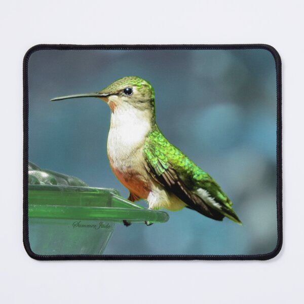 Item preview, Tiny Backyard Visitor ~ Hummingbird designed and sold by SummerJade.