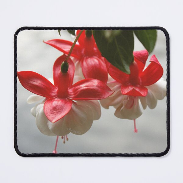 Item preview, Fuchsia ~ Hanging Over the Lake designed and sold by SummerJade.