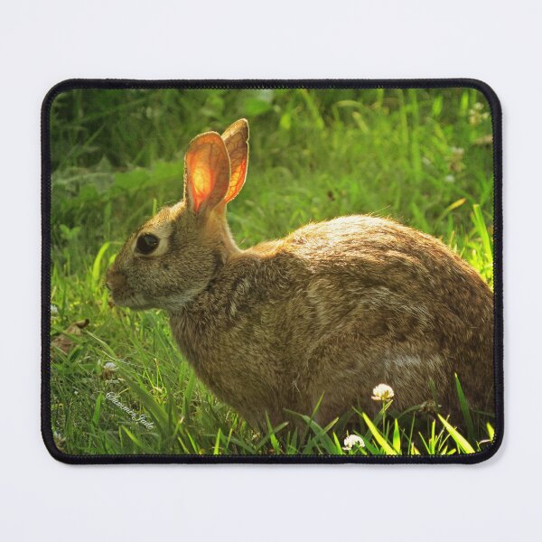 Item preview, Wild Bunny ~ In a Patch of Clover designed and sold by SummerJade.