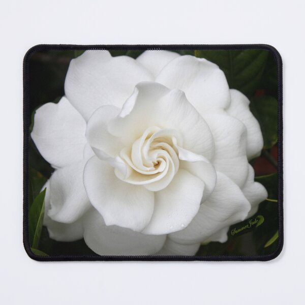 Item preview, Romantic Night ~ Scent of Gardenias designed and sold by SummerJade.