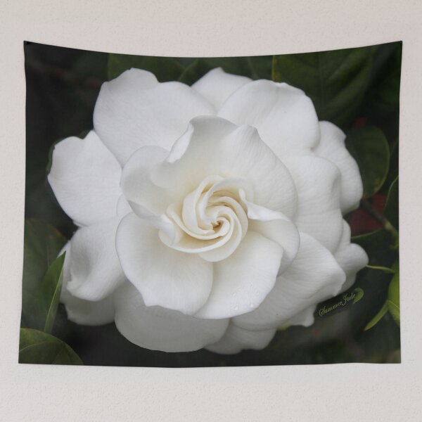 Item preview, Romantic Night ~ Scent of Gardenias designed and sold by SummerJade.
