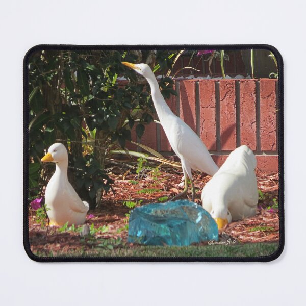 Item preview, What’s Wrong With This Picture? designed and sold by SummerJade.