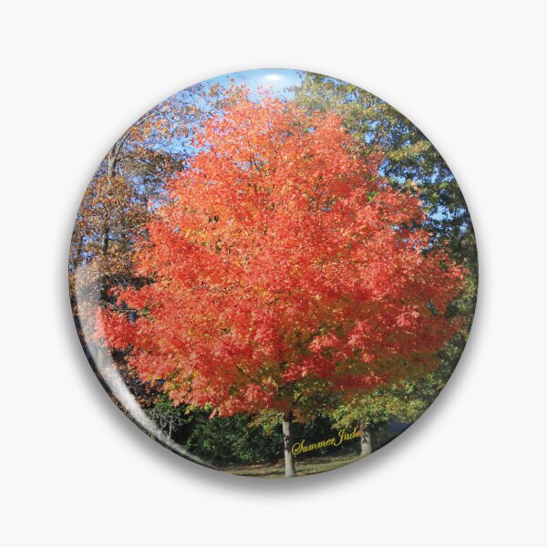 Item preview, Showstopper ~ A Maple in Fall Glory designed and sold by SummerJade.
