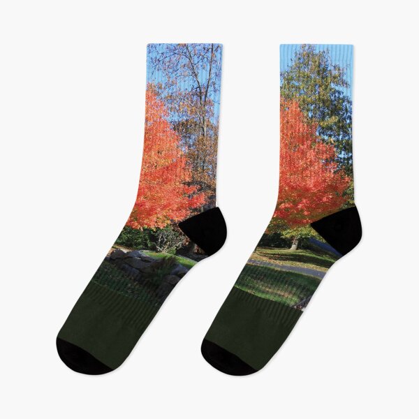 Item preview, Showstopper ~ A Maple in Fall Glory designed and sold by SummerJade.