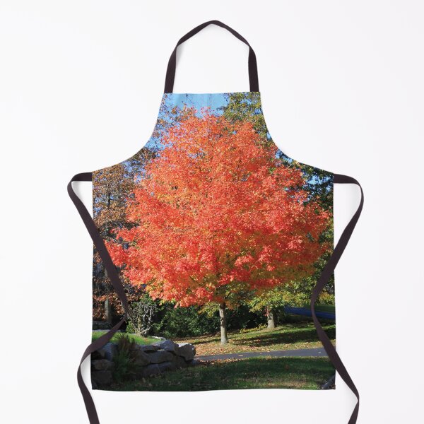 Item preview, Showstopper ~ A Maple in Fall Glory designed and sold by SummerJade.