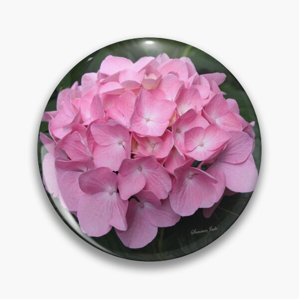 Item preview, What Is So Rare As a Perfect Bloom? designed and sold by SummerJade.