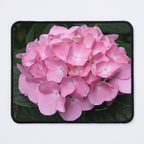 Item preview, What Is So Rare As a Perfect Bloom? designed and sold by SummerJade.
